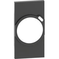 Лицев панел за контакт ШУКО с USB тип C 2 мод. цвят Черен Living Now Bticino