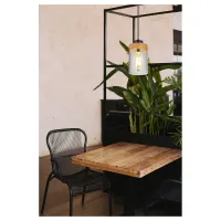 Globo FINCA 15557H