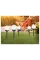 Globo SOLARLEUCHTE KUNSTSTOFF GRAU, 1XLED 33699-12